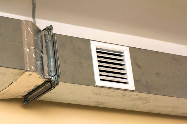 Best Professional Duct Cleaning Services  in Vidalia, GA
